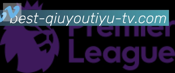 球友体育直播合作伙伴